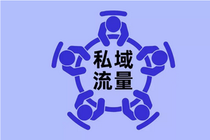 ﻿做私域的 最后都是以“加个微信吧”作为结束